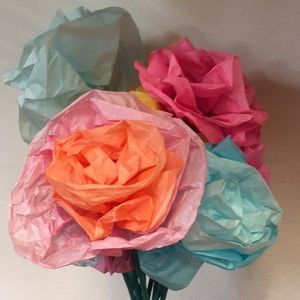 Meet your Posher, Socorro